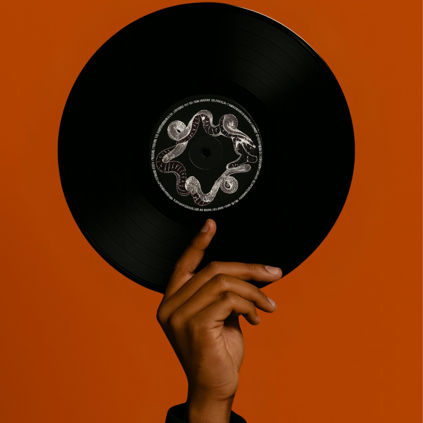 Serpent Spiral Vinyl Wall Art Record