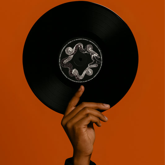 Serpent Spiral Vinyl Wall Art Record