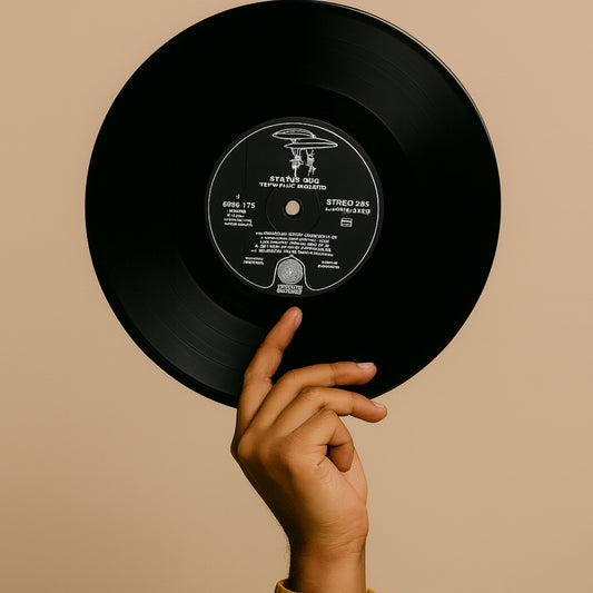 Status Quo Inspired Vinyl Wall Art Record