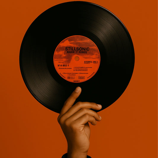 Stillsonic Baer Vibes Vinyl Wall Art Record